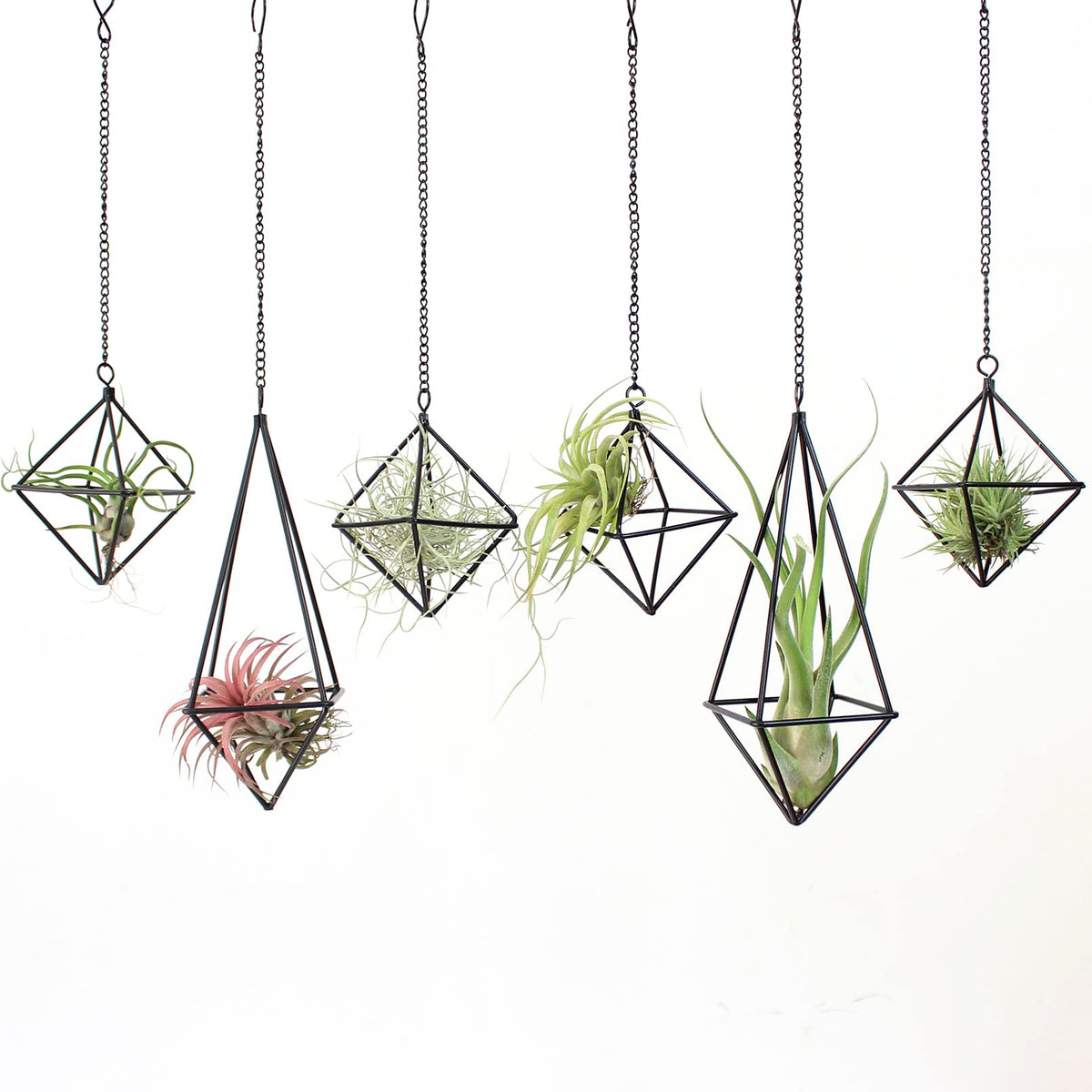 SZRUIZFZ black metal air plant hanger with long octahedron for wall decor.