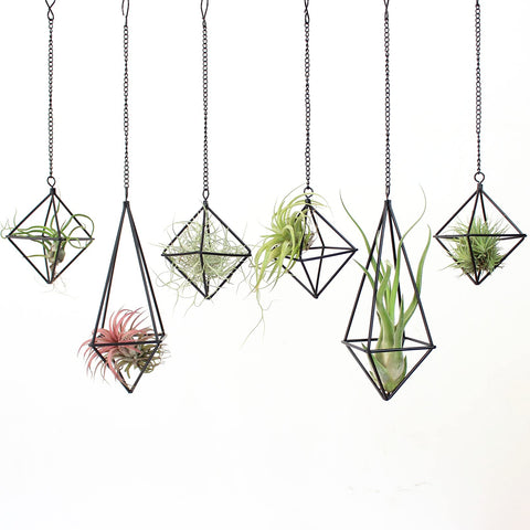 SZRUIZFZ black metal air plant hanger with long octahedron for wall decor.