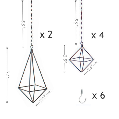 SZRUIZFZ long octahedron hanger provides ample display space for Tillandsias.
