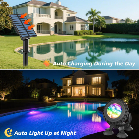 T-SUN LED beads close-up showing bright pond illumination.