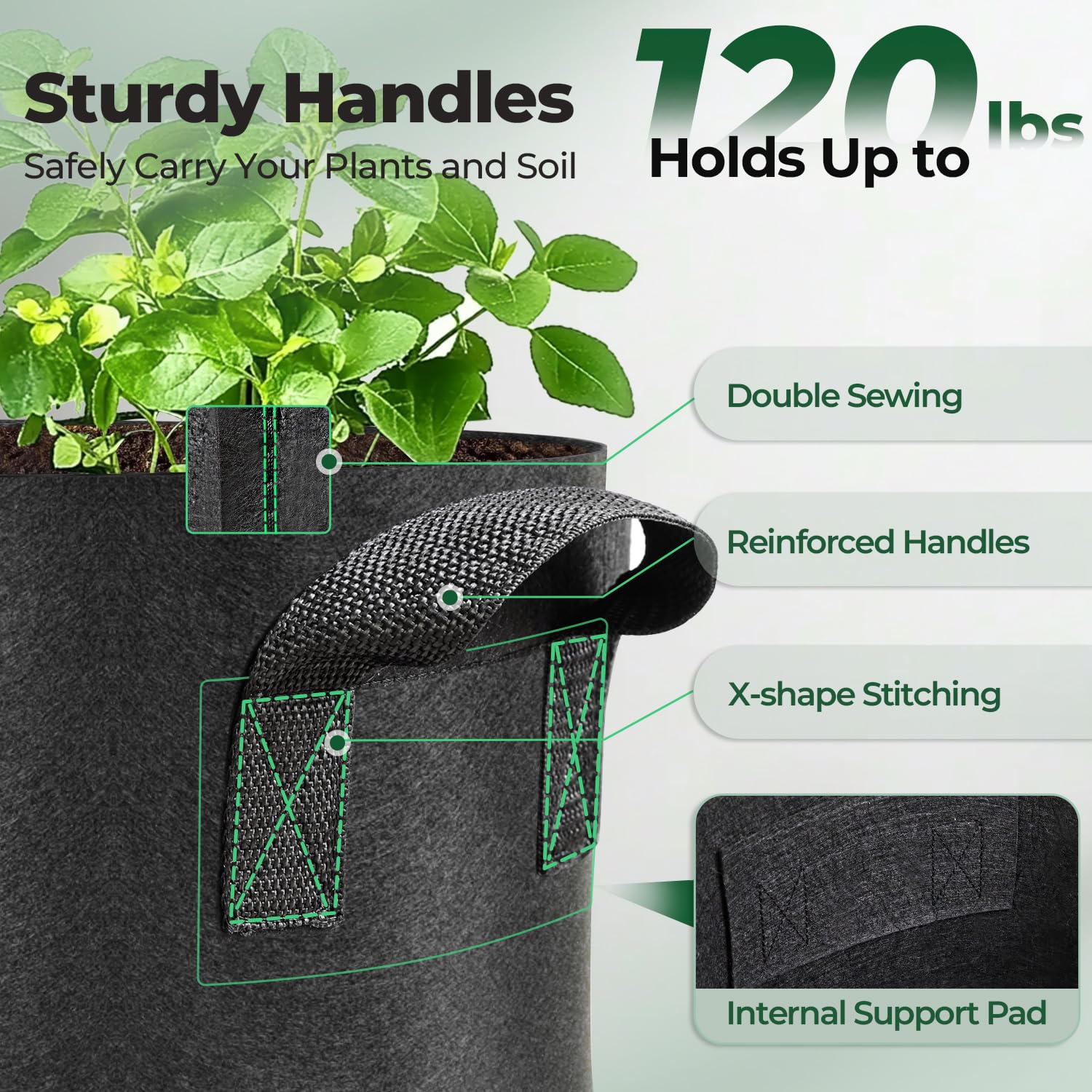 T4U 10 gallon bag demonstrates air root pruning in action