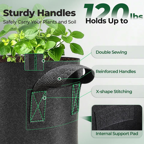 T4U 10 gallon bag demonstrates air root pruning in action
