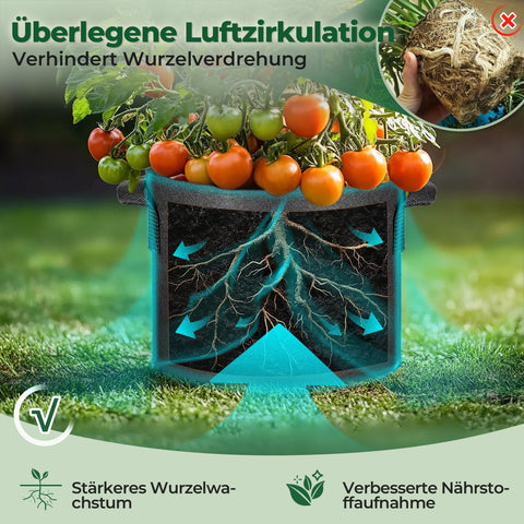 T4U garden bag helps vegetables like carrots and cucumbers thrive outdoors.