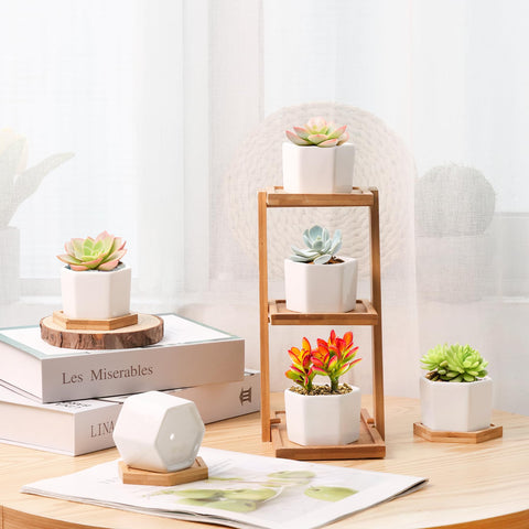 T4U 12-pack succulent pots in white ceramic for tiny plants and herbs.