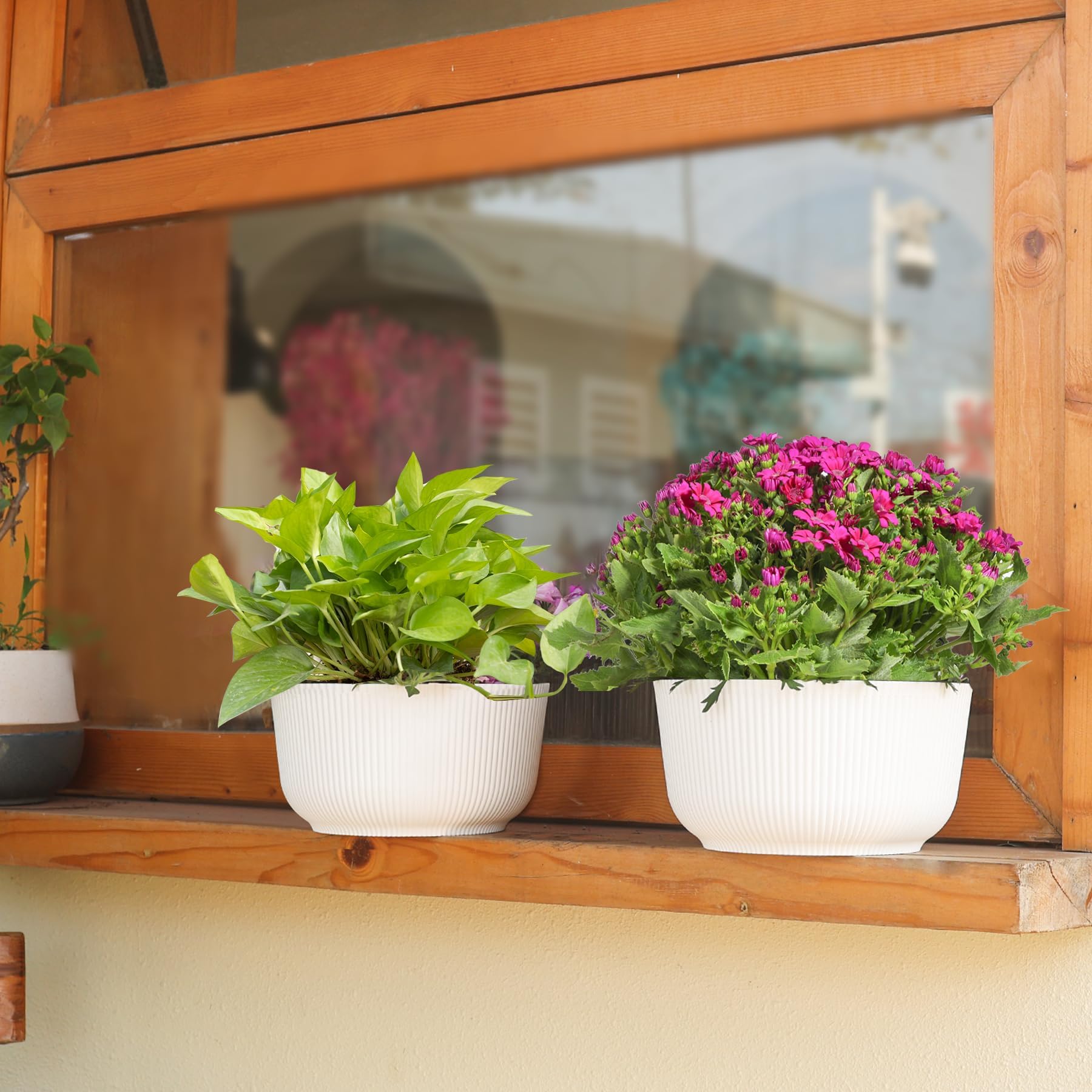 T4U two-pack display showing two 10-inch planters side by side.