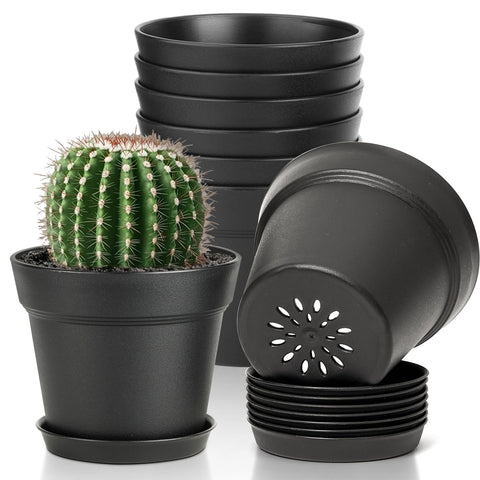 T4U 4-inch pot with drainage holes supports healthy roots and easy watering.