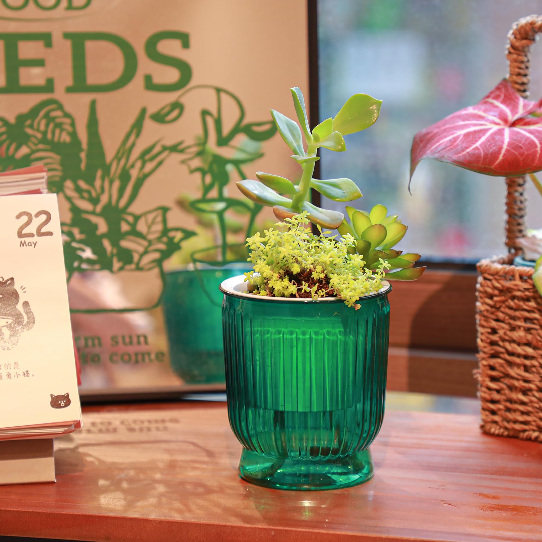 T4U 4-inch pot lightweight for easy movement