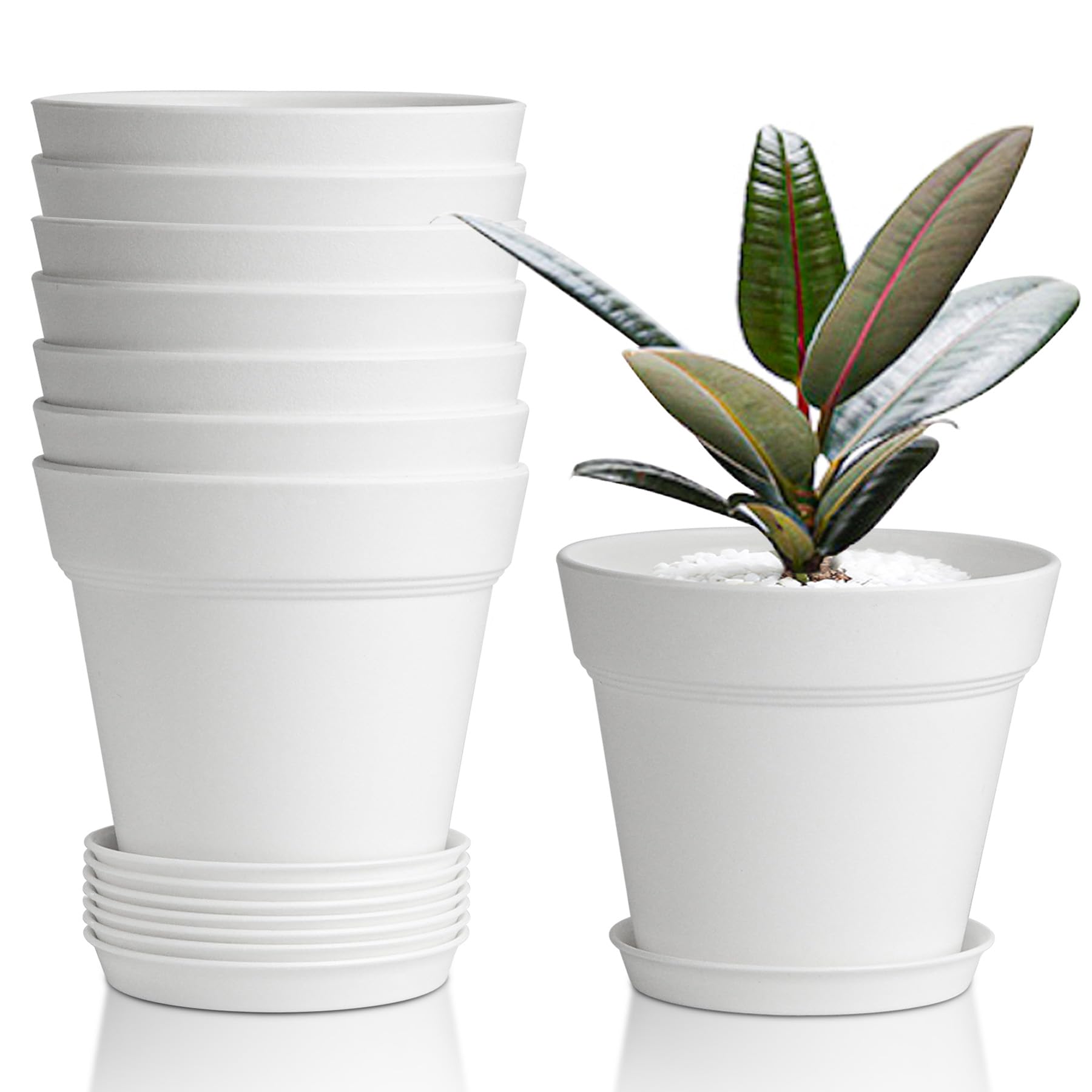 T4U 4-inch plant pot with saucer, ideal for indoor herbs and small flowers.