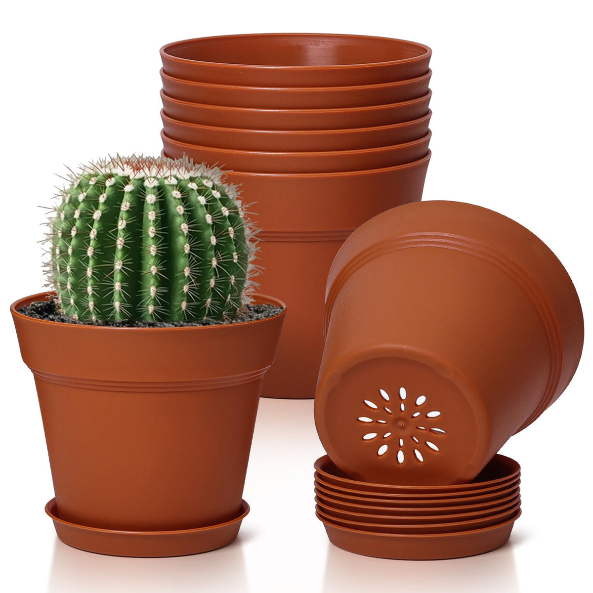 T4U 4-inch pot with saucer and matte finish for neat indoor displays.
