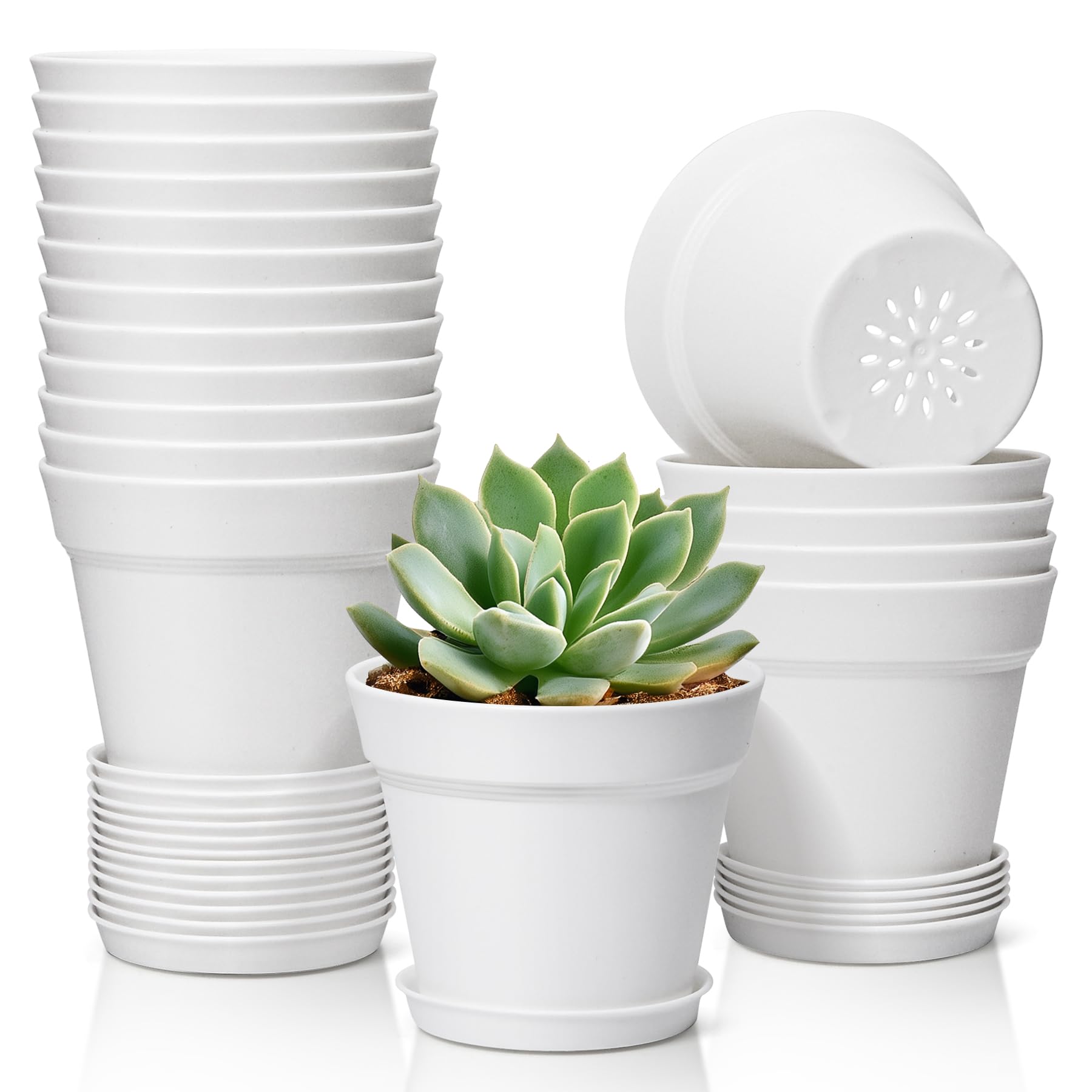 T4U 4-inch pot with white saucer for compact indoor display.