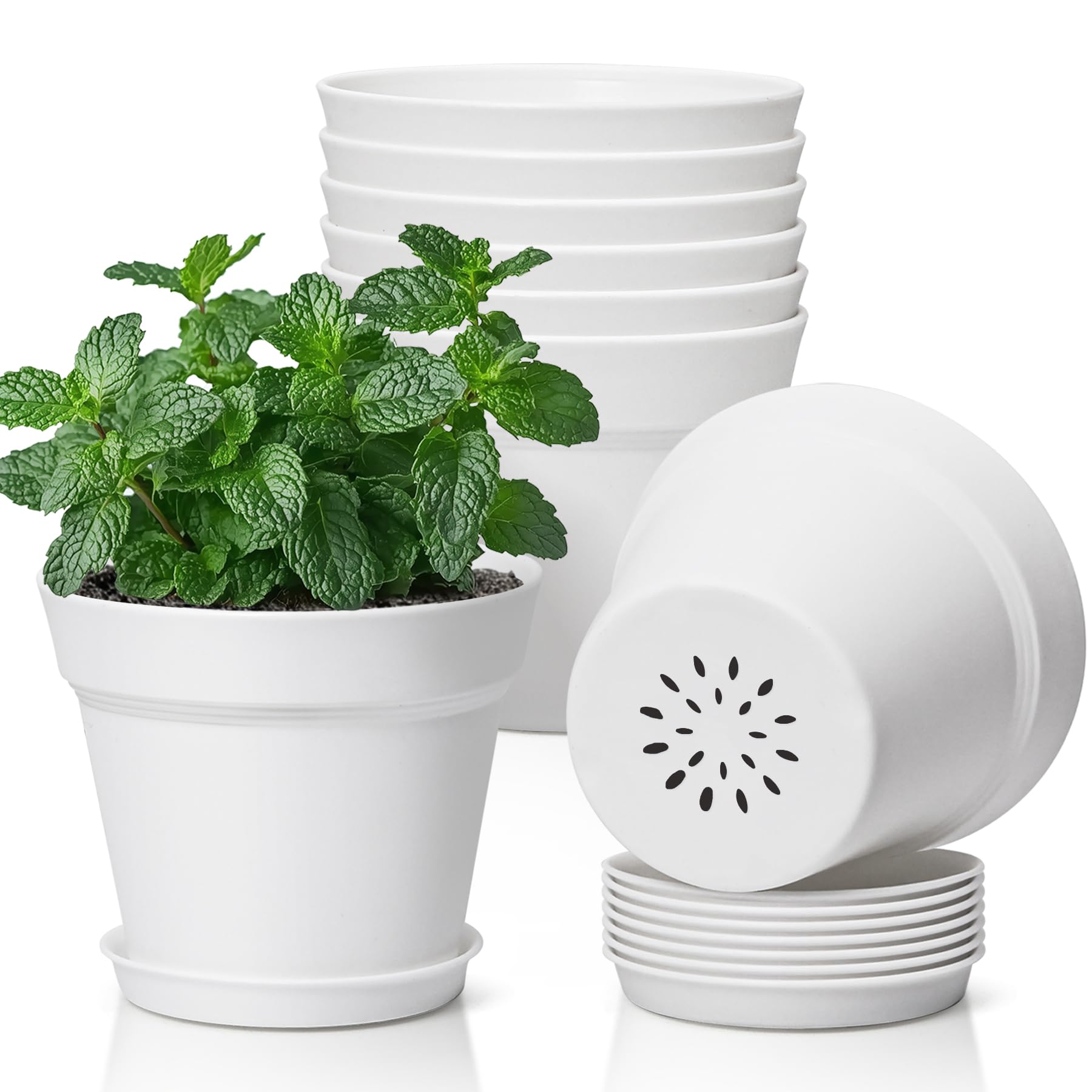 T4U 5-inch plant pot in an 8-pack with saucers for clean indoor and outdoor display