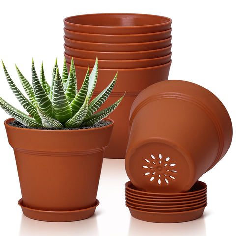 T4U 5-inch pot with saucer for neat indoor displays and spill prevention.
