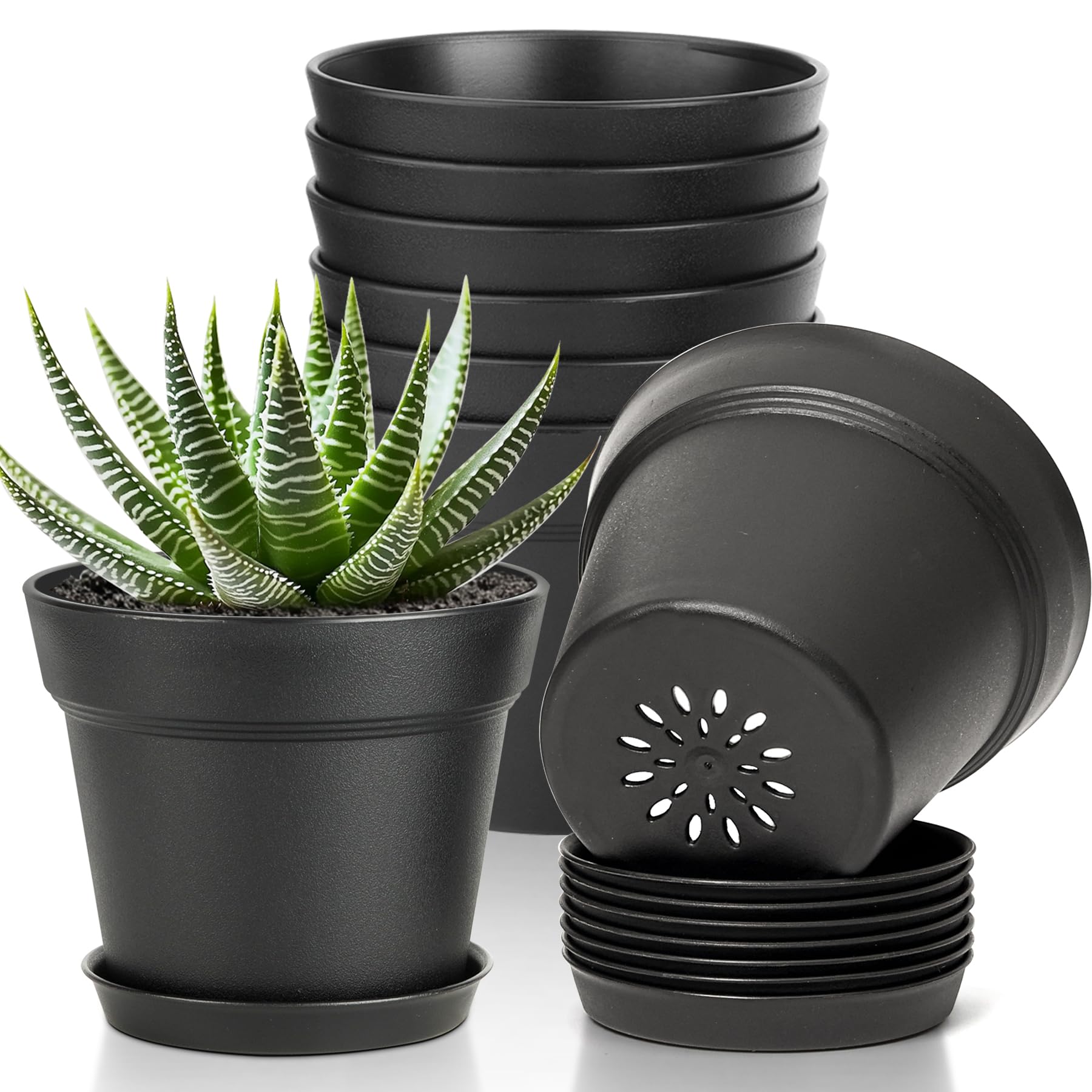 T4U 5-inch pot with saucer for compact indoor displays and spill-free use