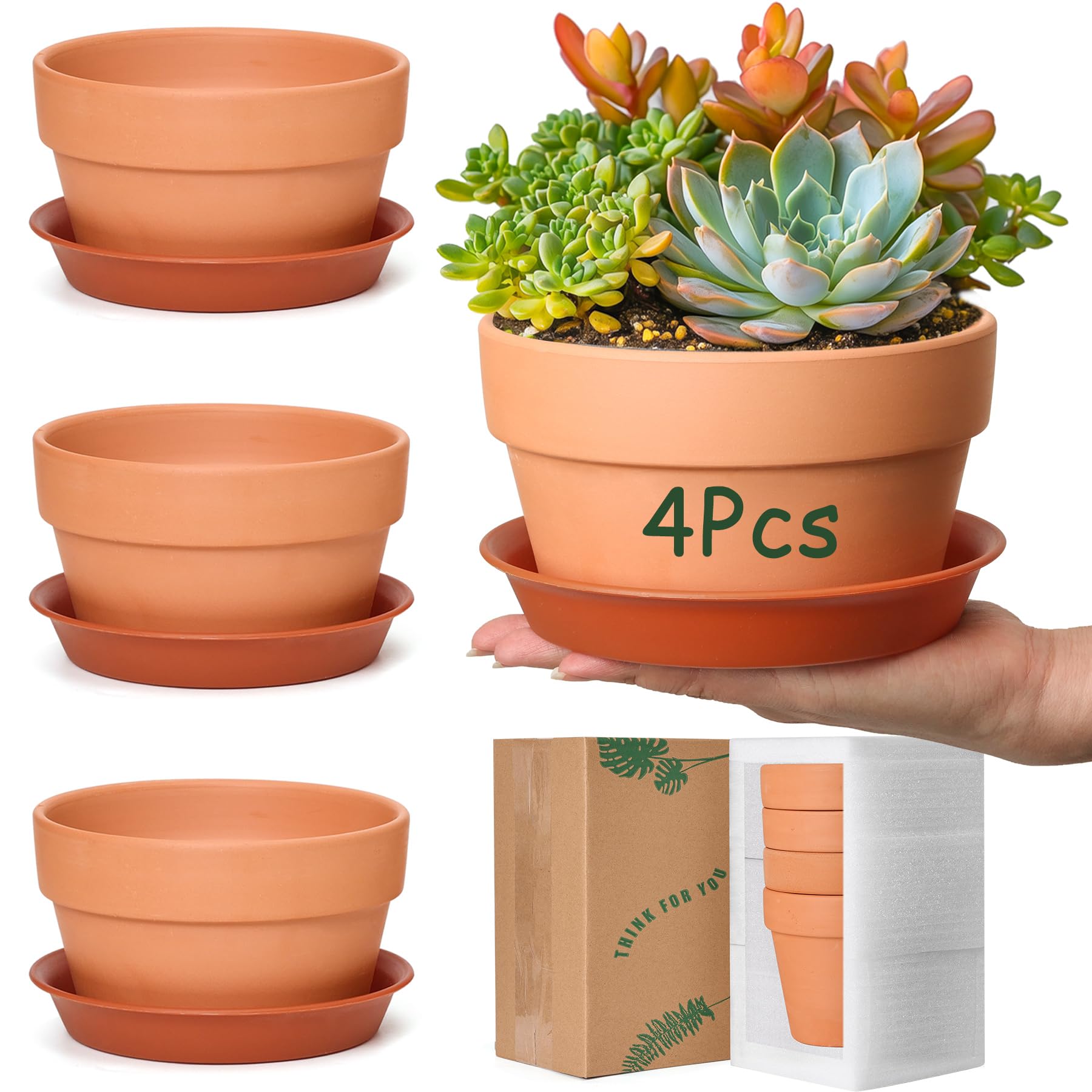 T4U 6-inch clay pot with drainage holes for healthy roots