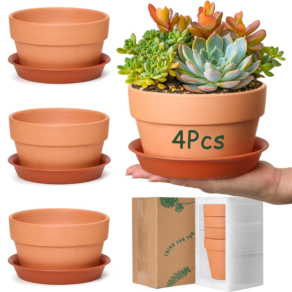 T4U 6-inch clay pot with drainage holes for healthy roots