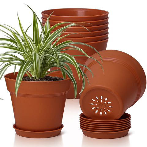 T4U 6-inch pot with saucer for indoor display and tidy spaces.