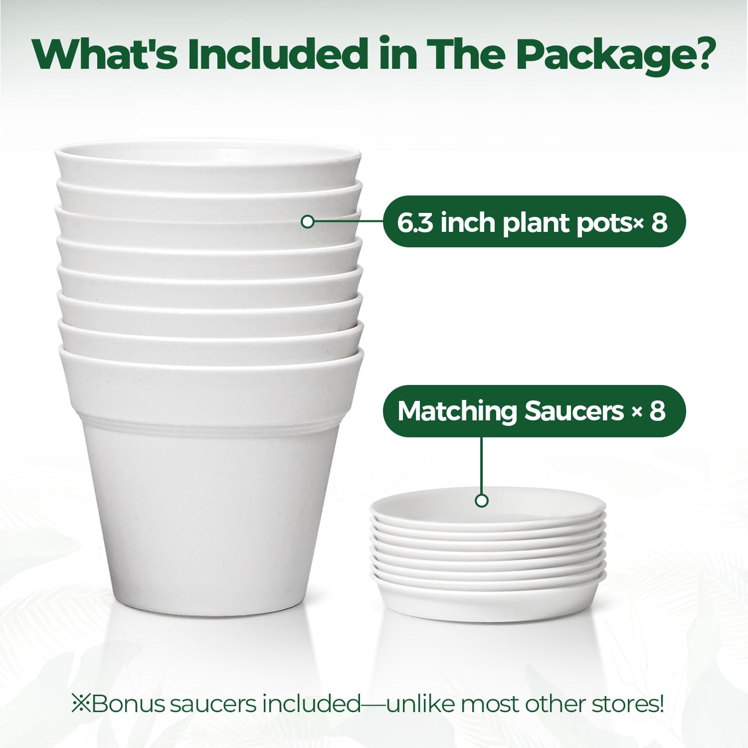 T4U 6-inch pot gift-ready pack ideal for plant lovers.