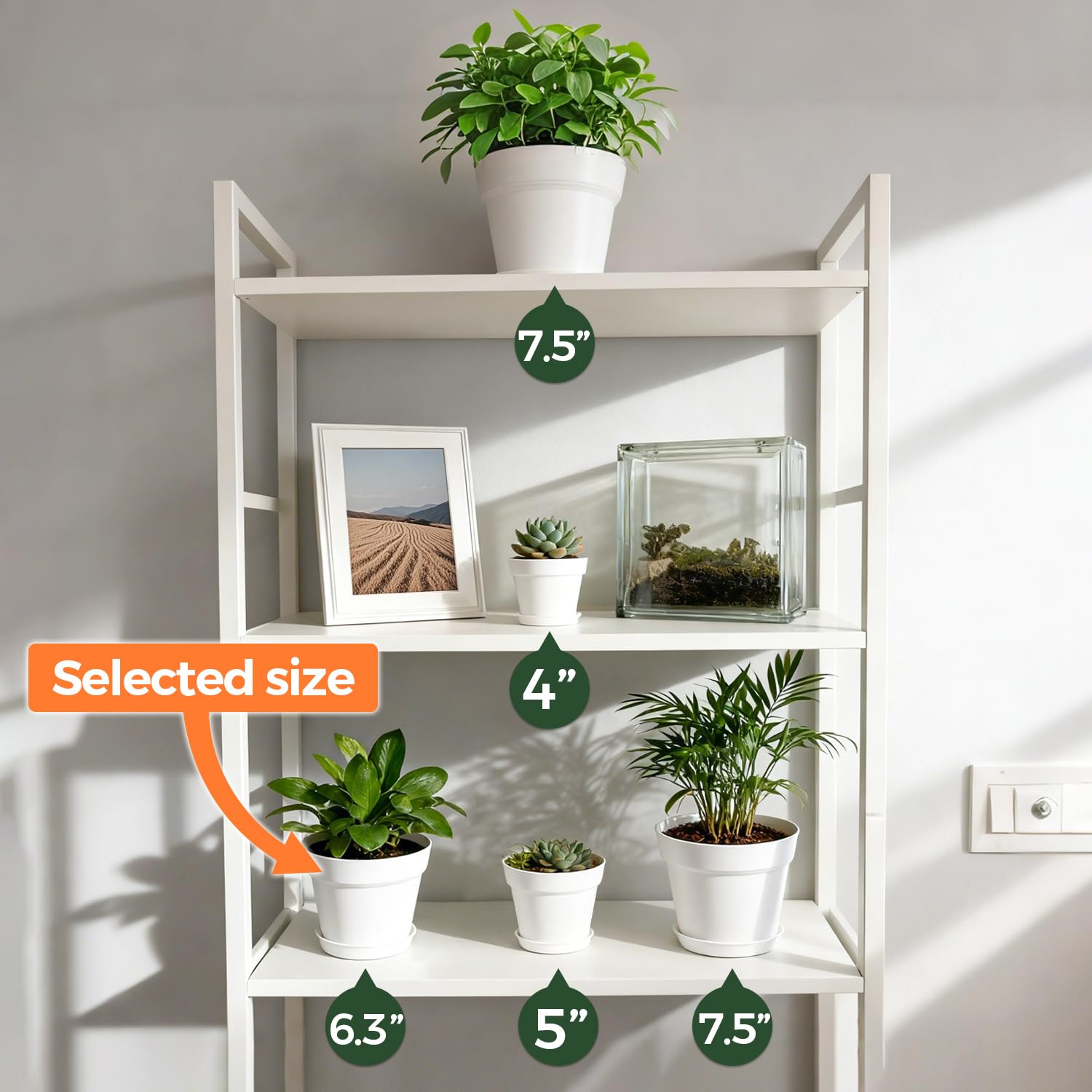 T4U 6-inch pot indoor display on shelves or countertops.