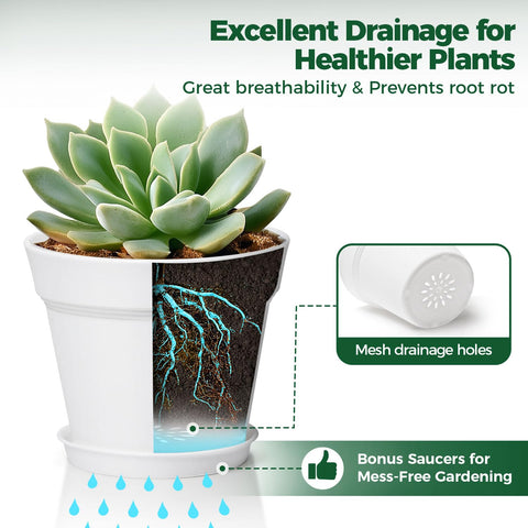 T4U 6-inch pot matte finish complements modern minimalist decor.