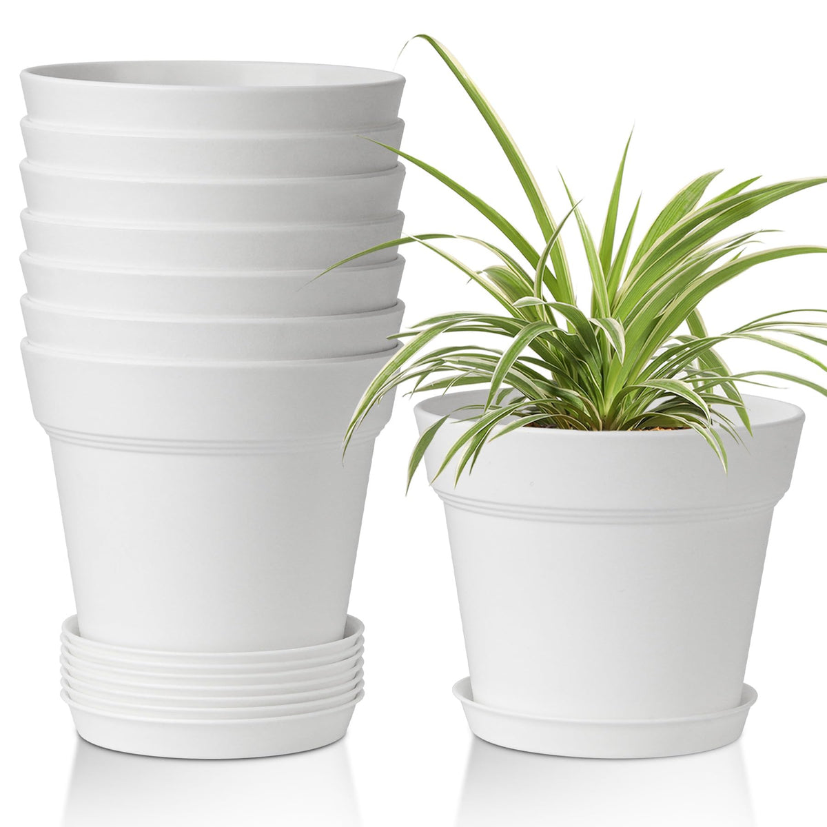 T4U 6-inch pot front view with clean matte finish for indoor display.