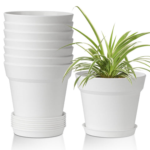 T4U 6-inch pot front view with clean matte finish for indoor display.