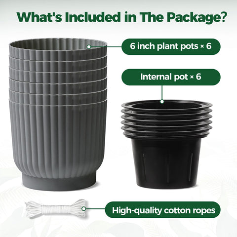 T4U 6 inch self-watering pot ideal for African violets and delicate blooms