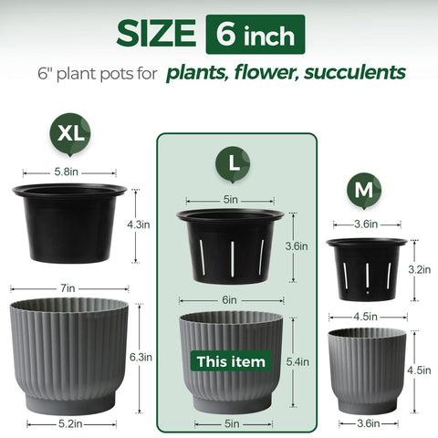 T4U 6 inch self-watering pot dual-layer base keeps plants hydrated during busy weeks