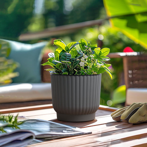 T4U 6 inch pot in an office setting as a decorative plant container