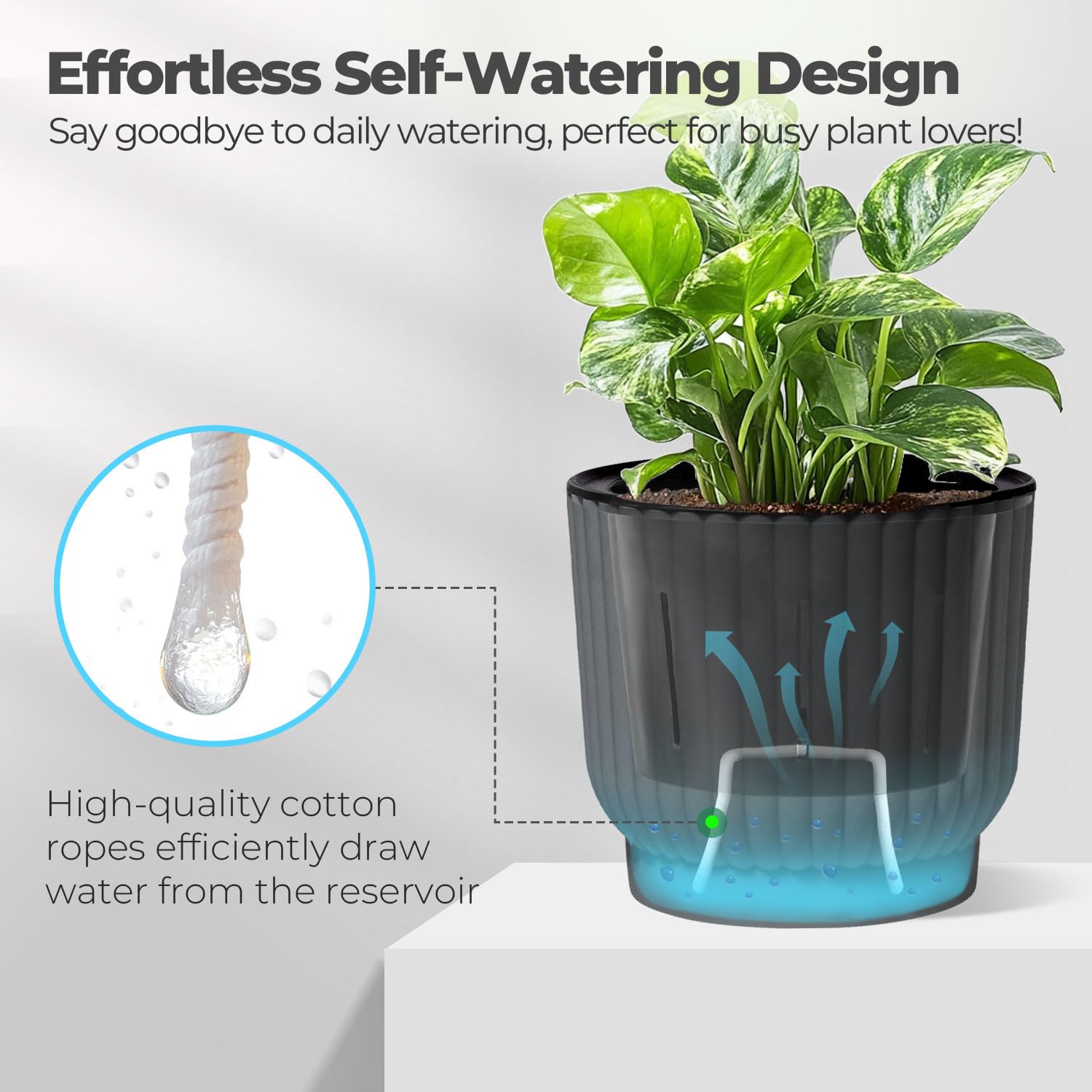 T4U 6 inch planter in stylish gray enhances any room while maintaining soil moisture