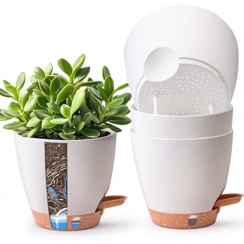 T4U 6-inch self-watering pot, side view for easy care and hydration