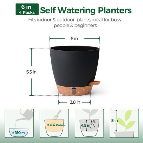 T4U 6-inch self-watering pot with clear water gauge to monitor reservoir level.