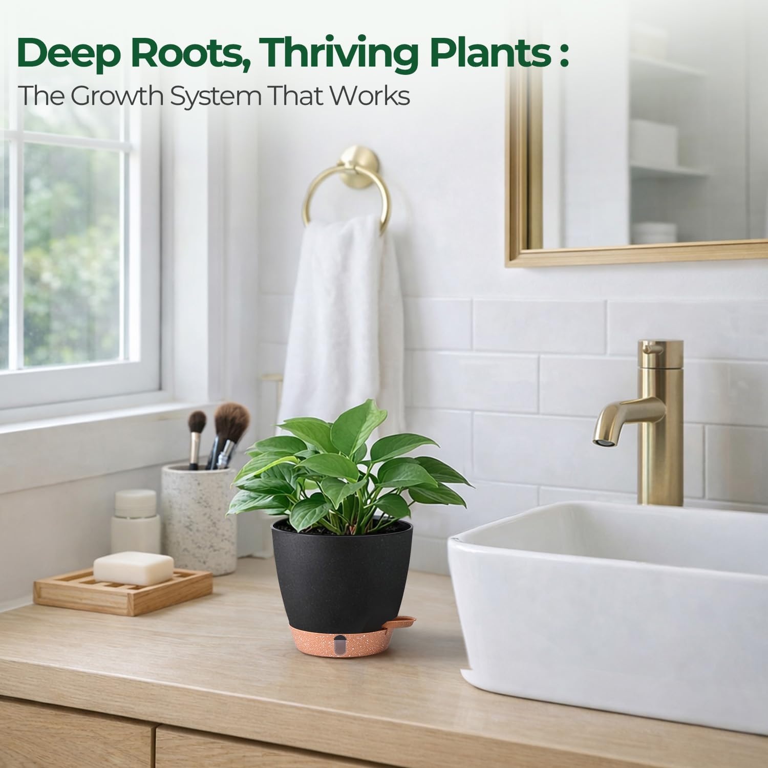 T4U 6-inch pot ideal for herbs and fresh indoor greens.