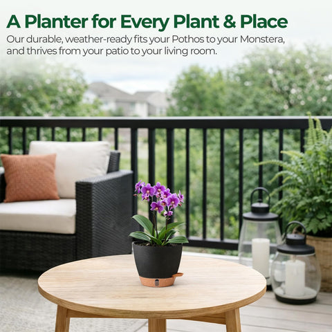 T4U 6-inch pot suitable for indoor and outdoor use year-round.
