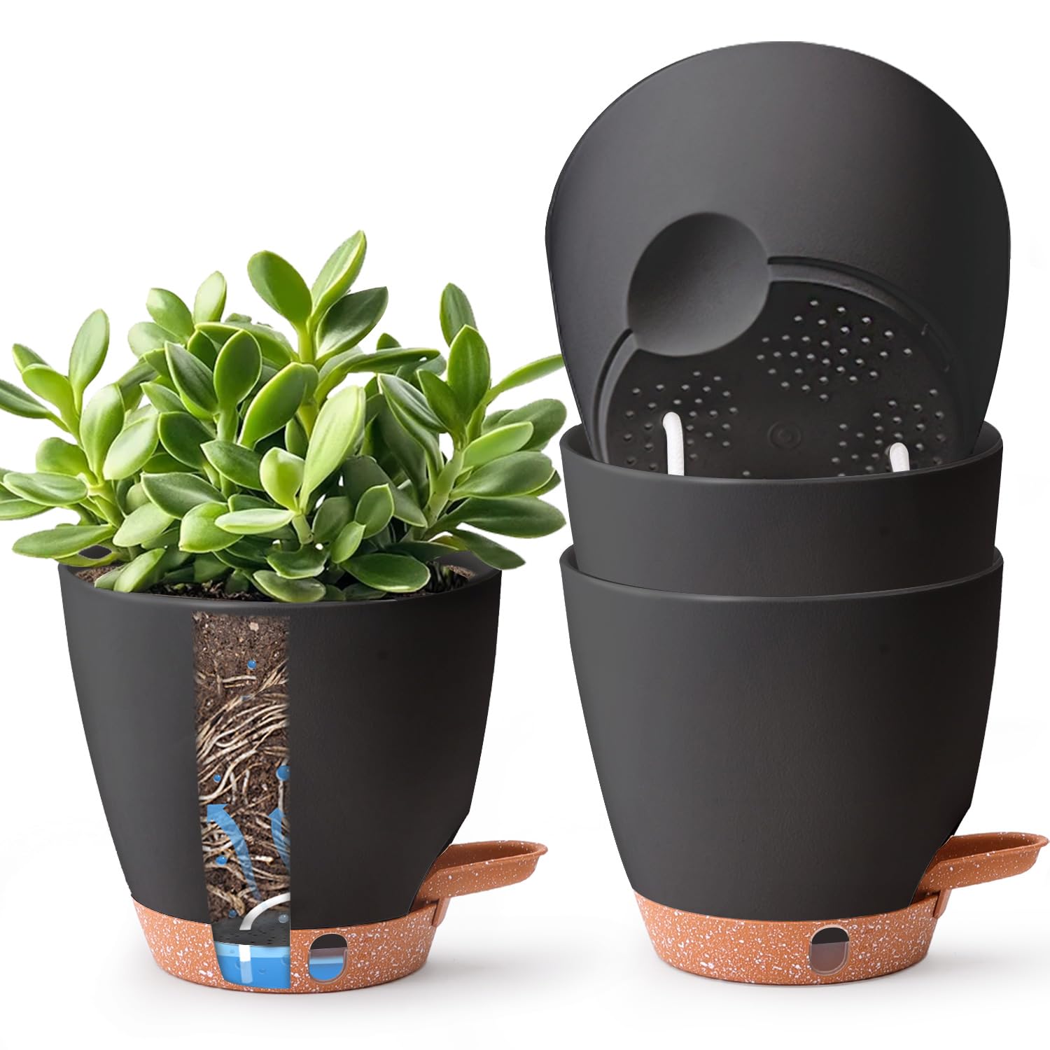 T4U 6-inch self-watering pot with reservoir keeps indoor plants hydrated for days.