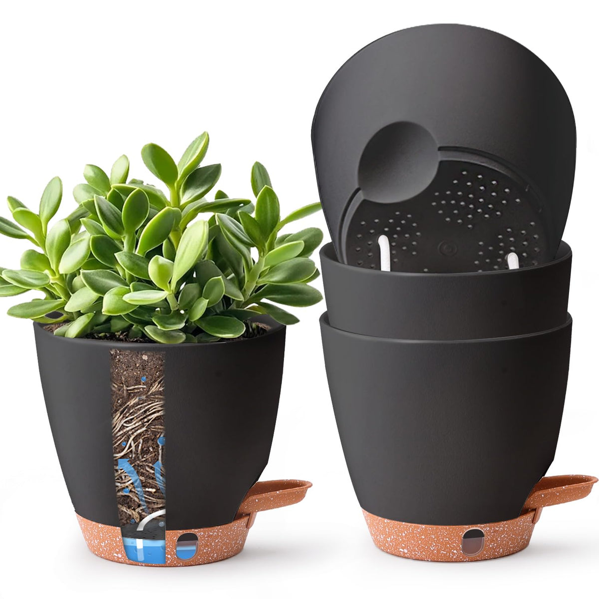 T4U 6-inch self-watering pot with reservoir keeps indoor plants hydrated for days.