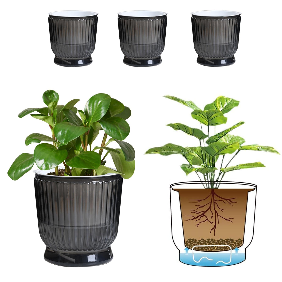 T4U 6-inch self-watering pot with reservoir for steady indoor plant hydration.