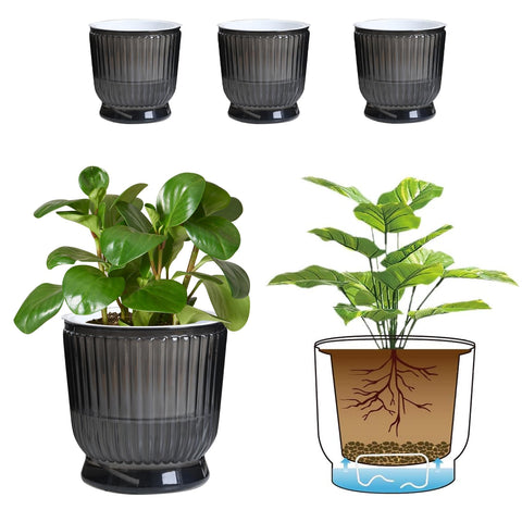 T4U 6-inch self-watering pot with reservoir for steady indoor plant hydration.