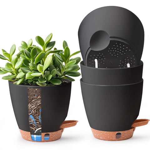 T4U 6-inch self-watering pot with reservoir keeps indoor plants hydrated for days.
