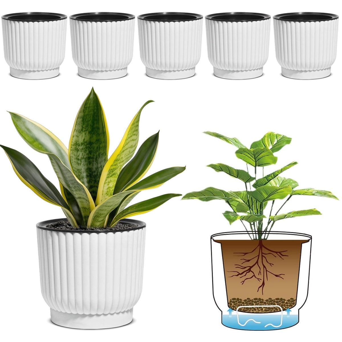 T4U 6-inch self-watering pot front view, ideal for low-maintenance indoor greenery.