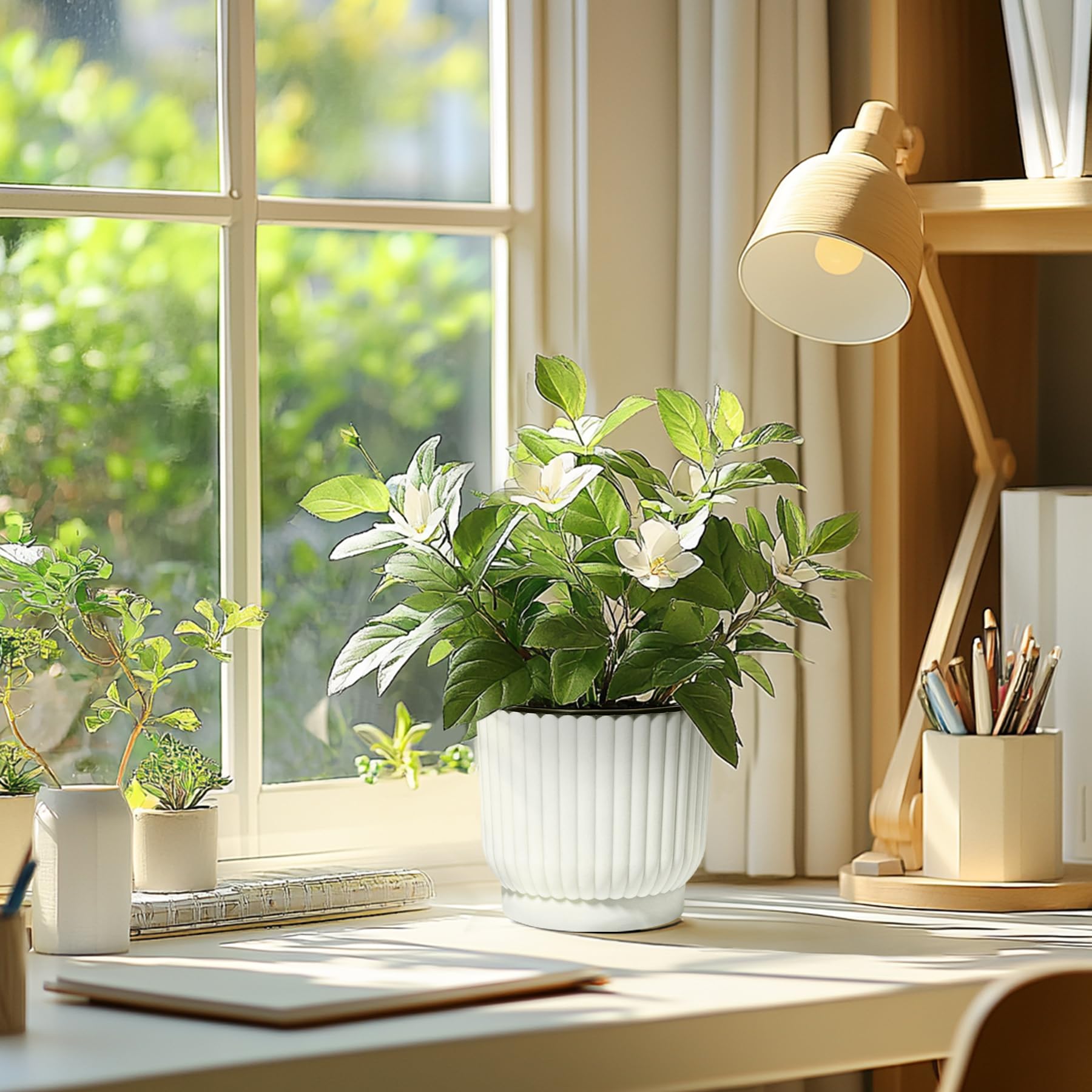 T4U collection of 6-inch pots with assorted indoor plants.