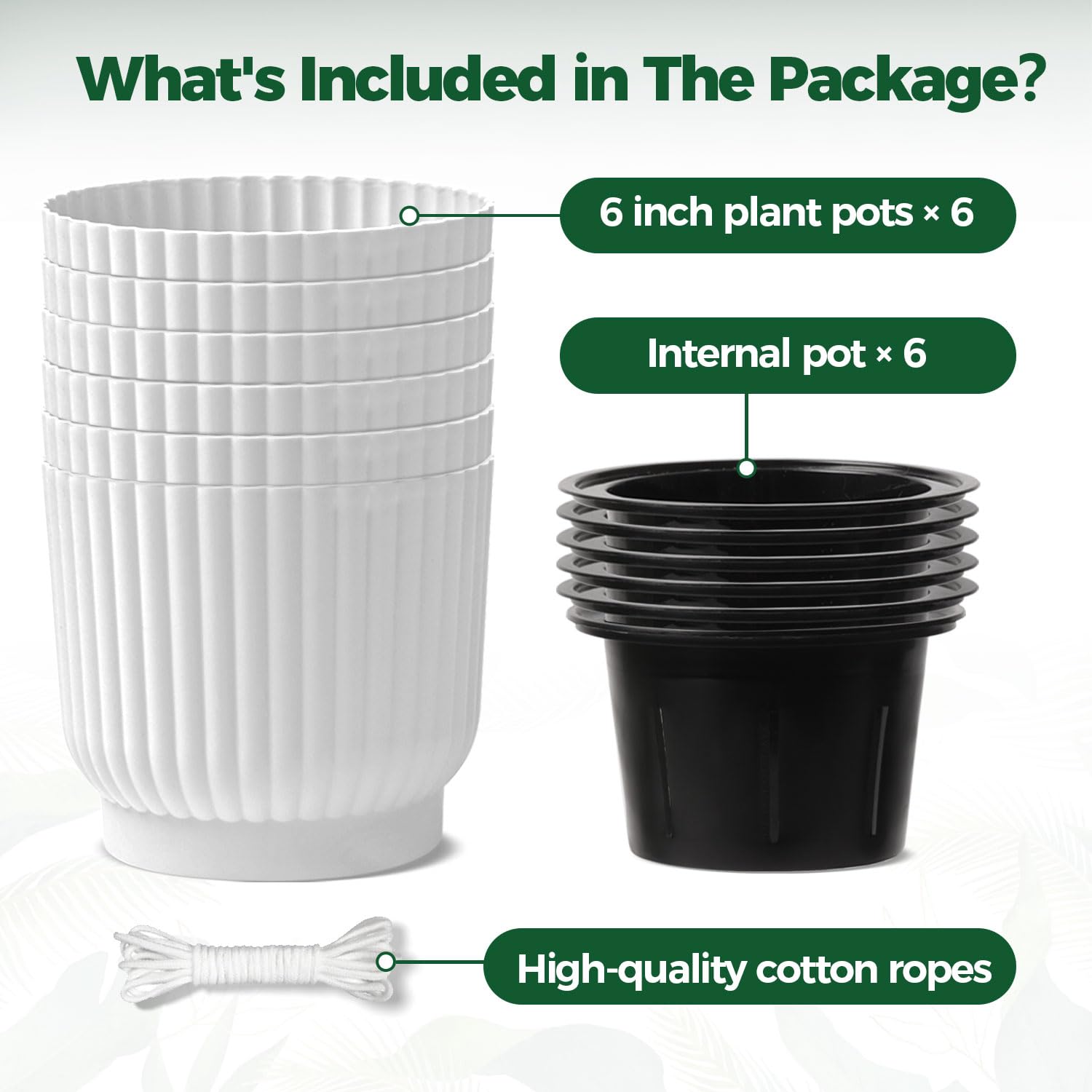 T4U pot with thriving plant demonstrates easy indoor care.