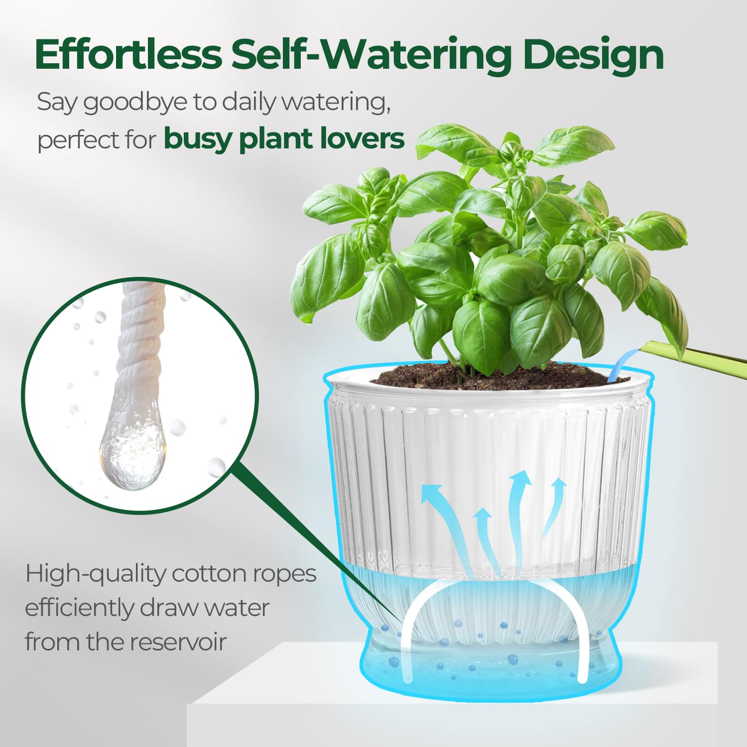 T4U 6-inch planters provide 7–10 days of hydration from a bottom reservoir.