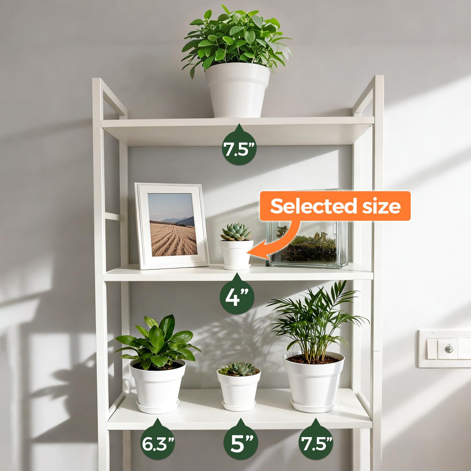 T4U 8-pack matching saucers help manage water and keep surfaces clean.