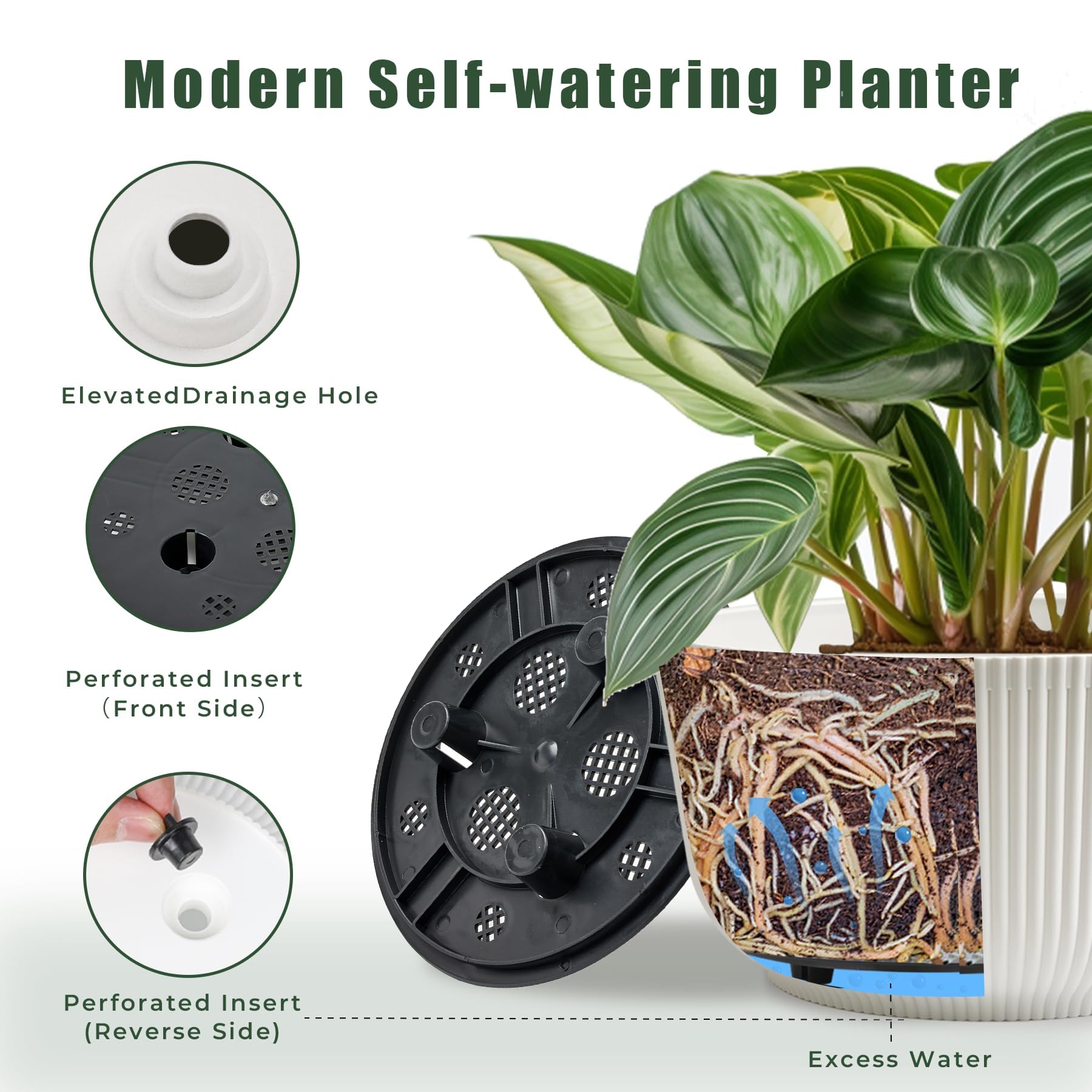T4U 8-inch planter showcases stylish design for modern spaces.