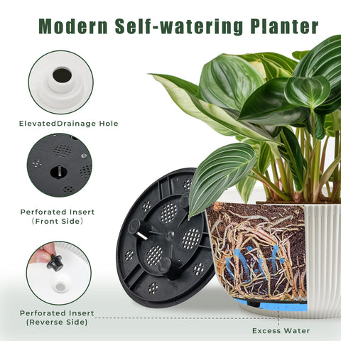 T4U 8-inch planter showcases stylish design for modern spaces.