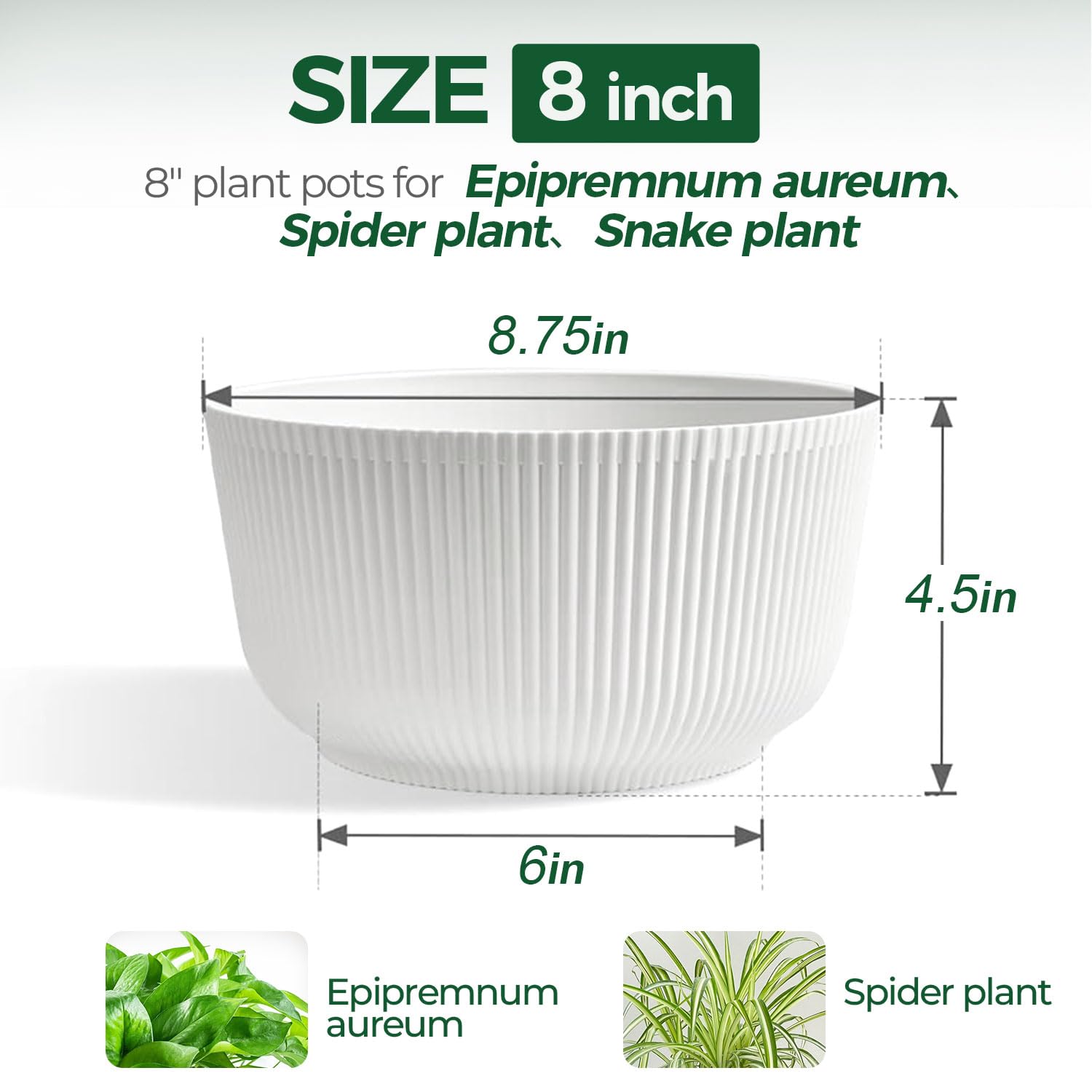 T4U base reservoir keeps plants hydrated longer.