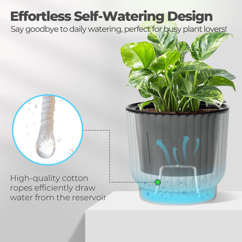 T4U African violet pot, compact 4-inch size ideal for tiny plants