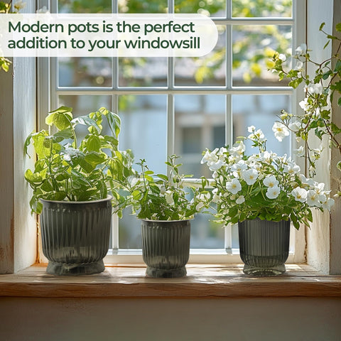 T4U African violet compatible pot suitable for indoor use.