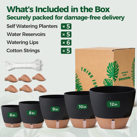 T4U balcony setup featuring a cohesive row of self-watering pots