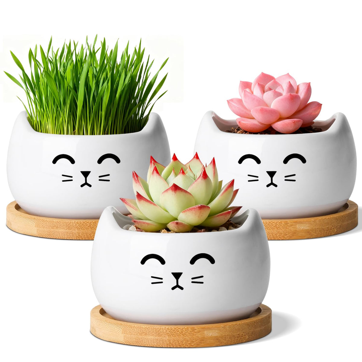 T4U Cat Planter 3.8-inch set with drainage for stylish desk plants.